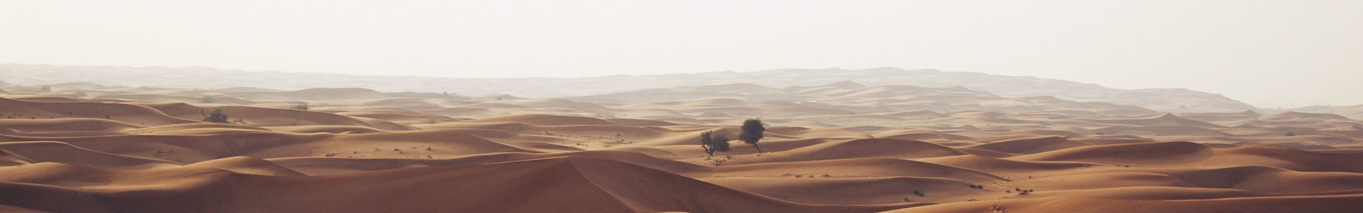 Ŷó޹˾